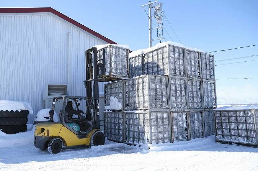 snow-inouefarm.JPG